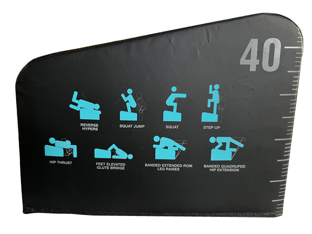 LivePro Angled Plyometric Box