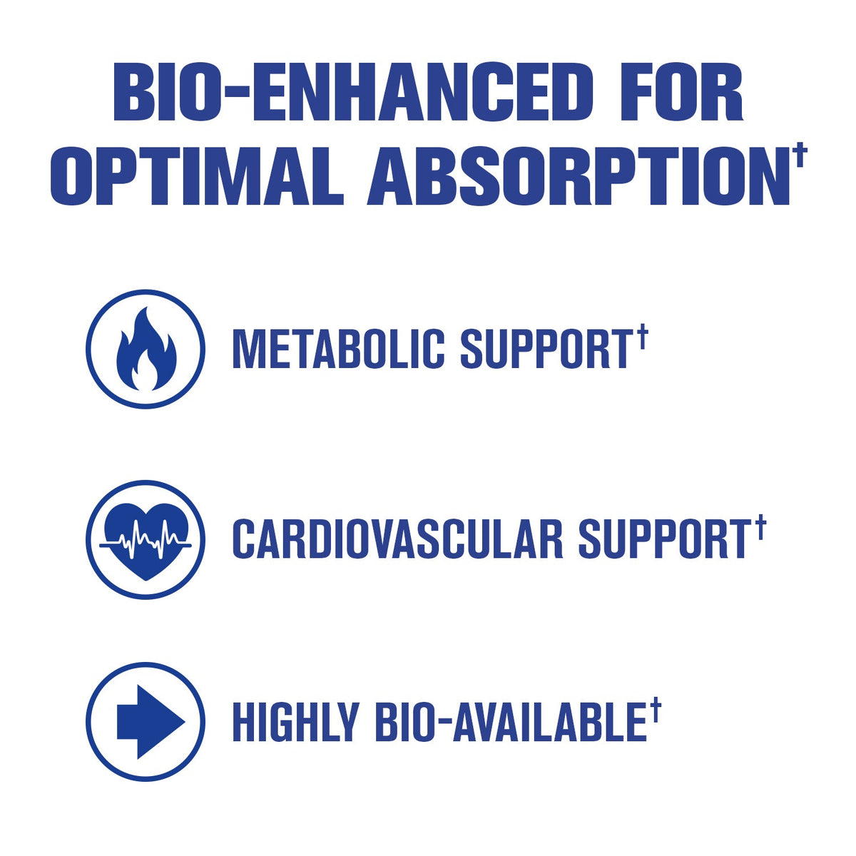 GAT Sport Pro Berberine bio-enhanced for optimal absorption