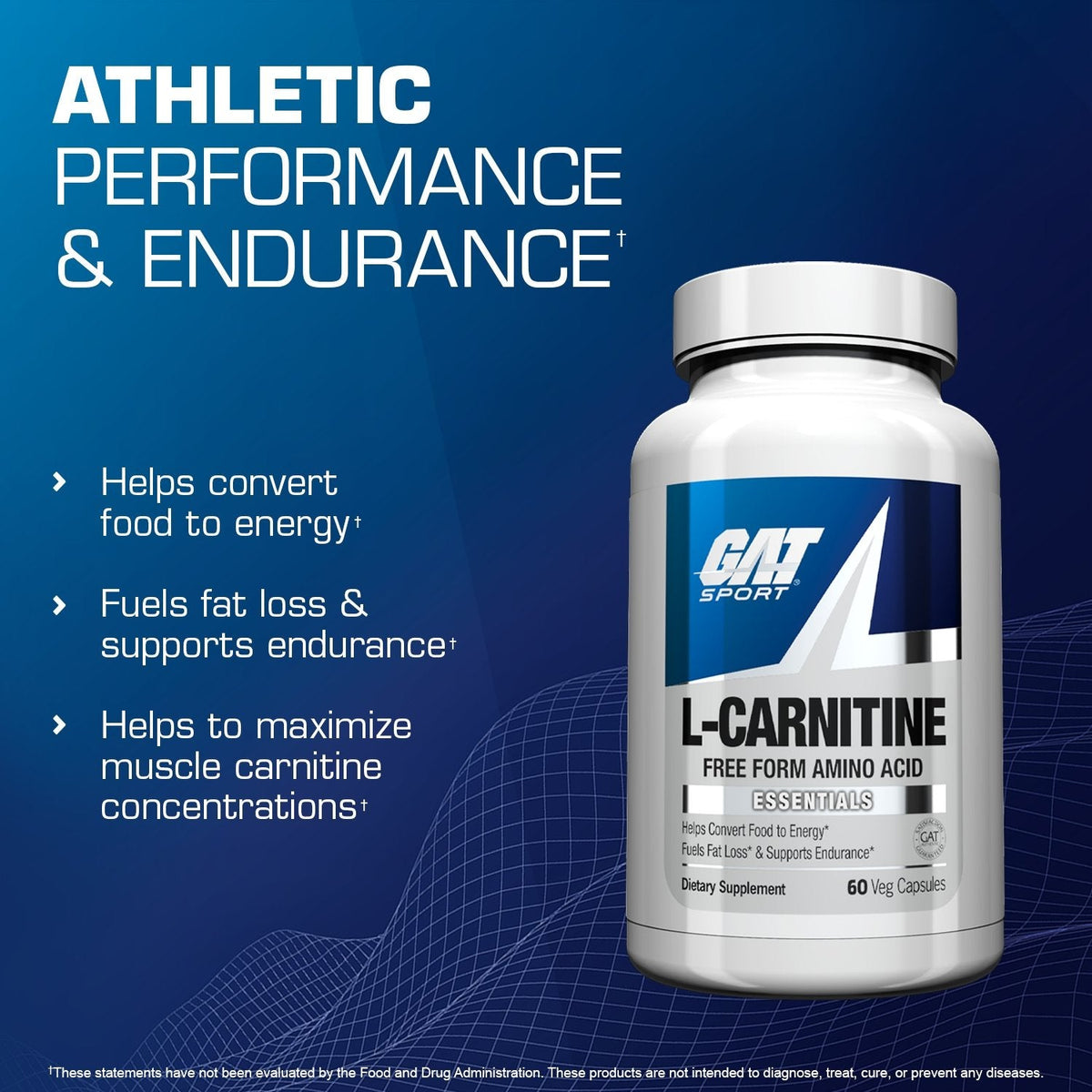 GAT Sport L-Carnitine athletic performance and endurance