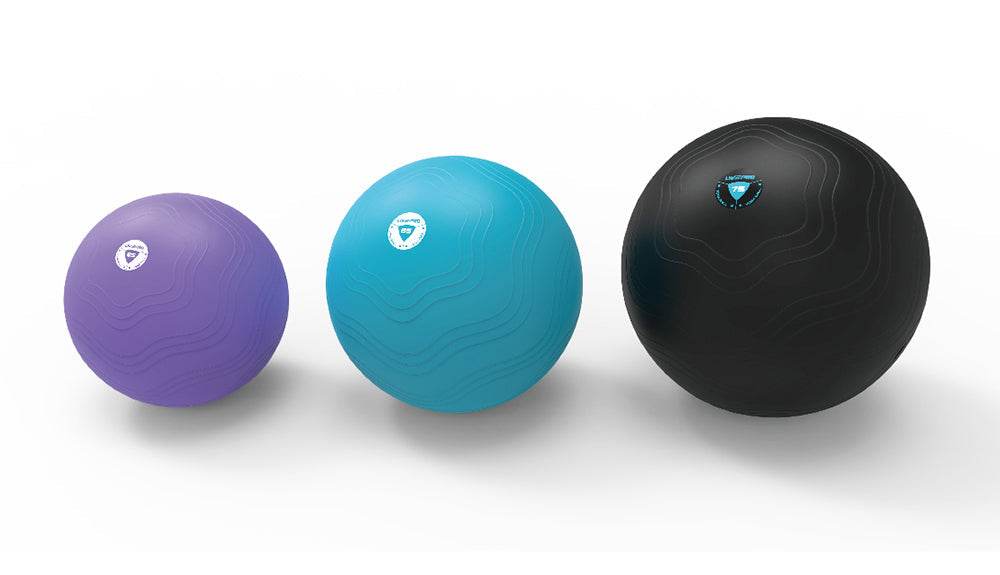 LivePro Anti-burst Swiss Ball - NZ Muscle