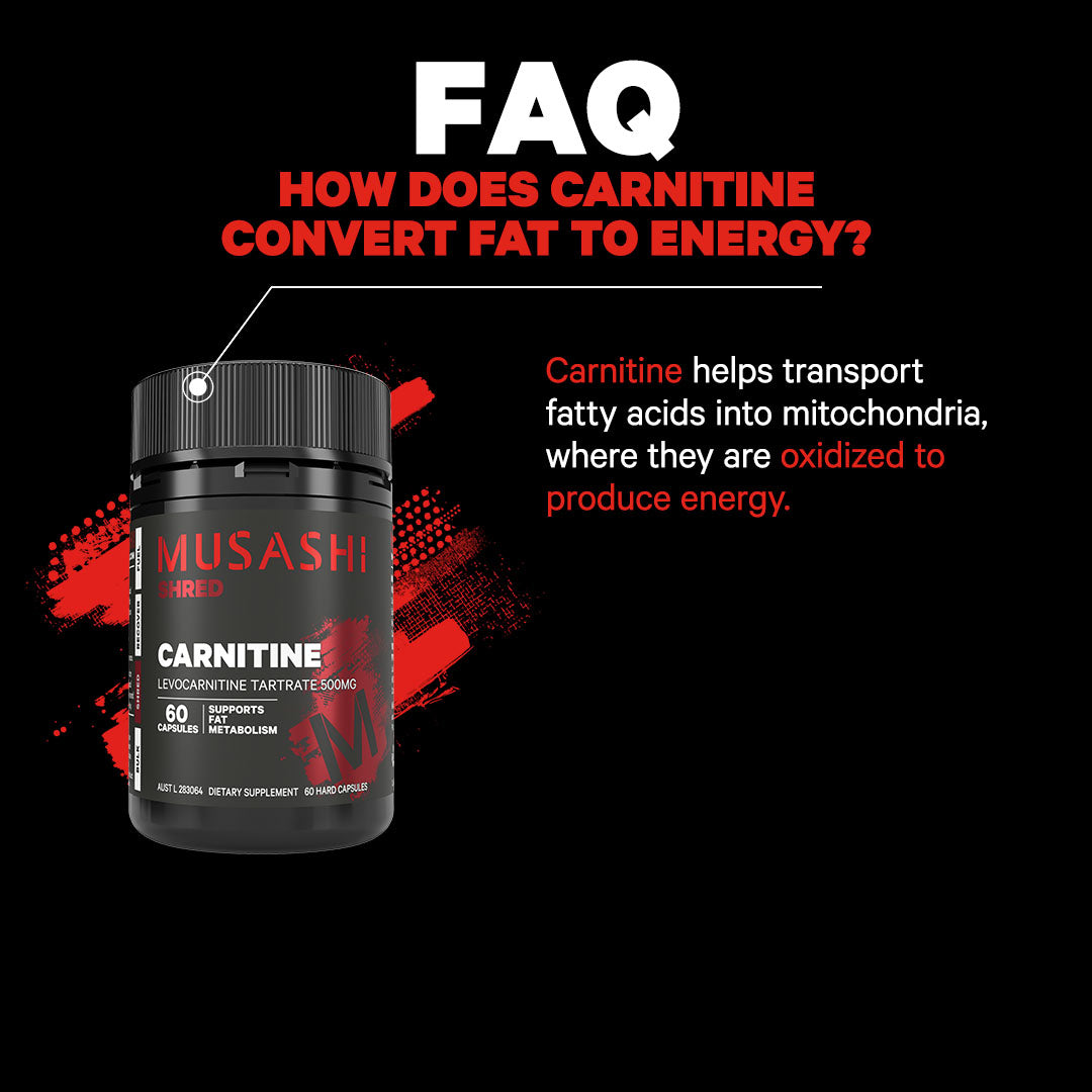 Musashi Carnitine