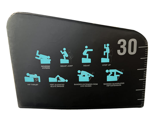 LivePro Angled Plyometric Box