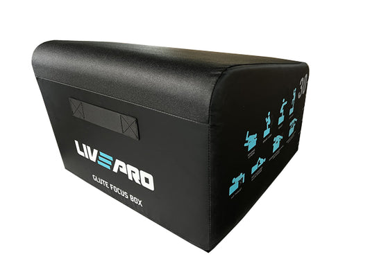 LivePro Angled Plyometric Box