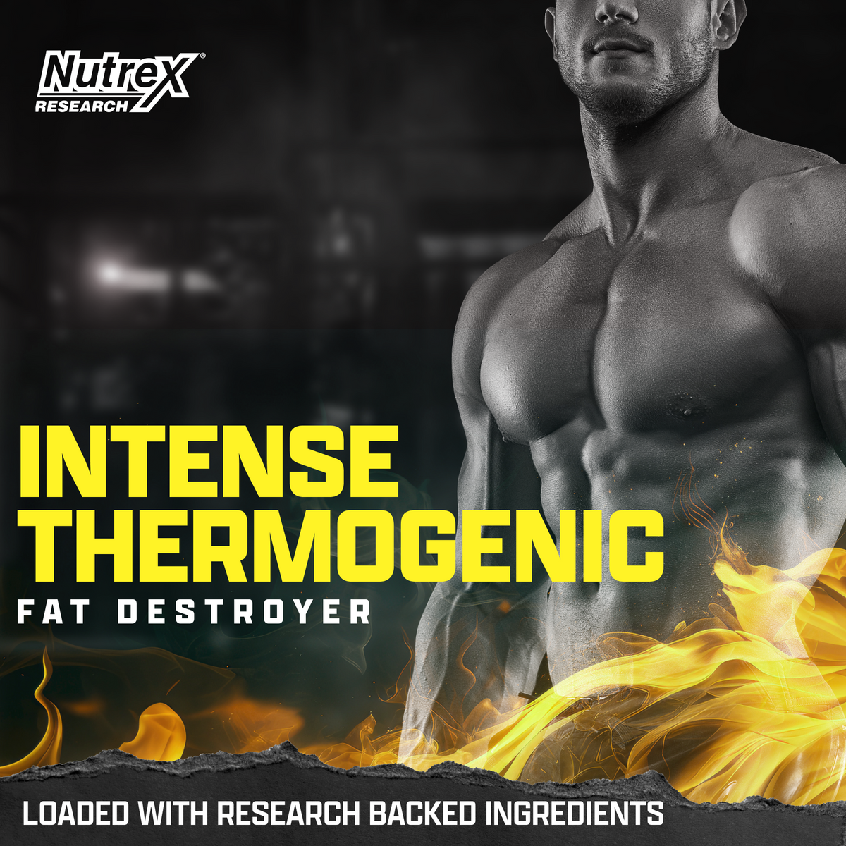 Nutrex Lipo-6 Intense