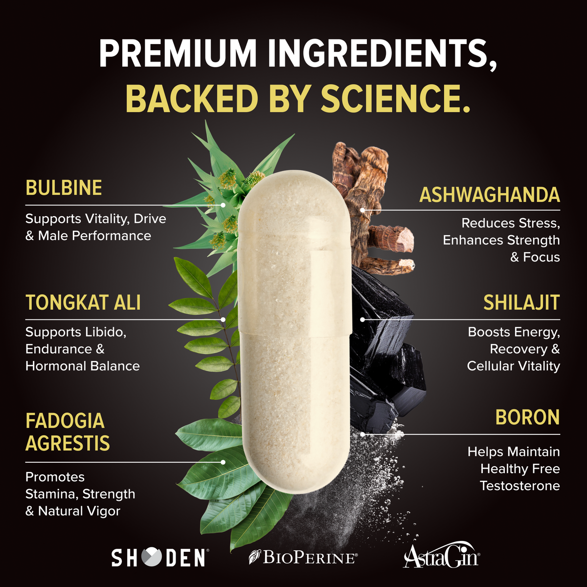 Nutrex Alpha-T Magnum
