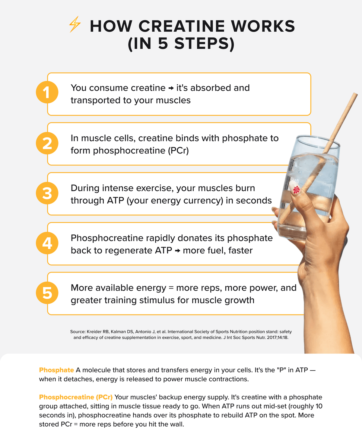 Muscle Nation Flavoured Creatine how creatine works