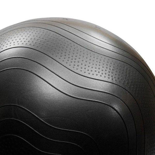 LivePro Anti-burst Swiss Ball - NZ Muscle