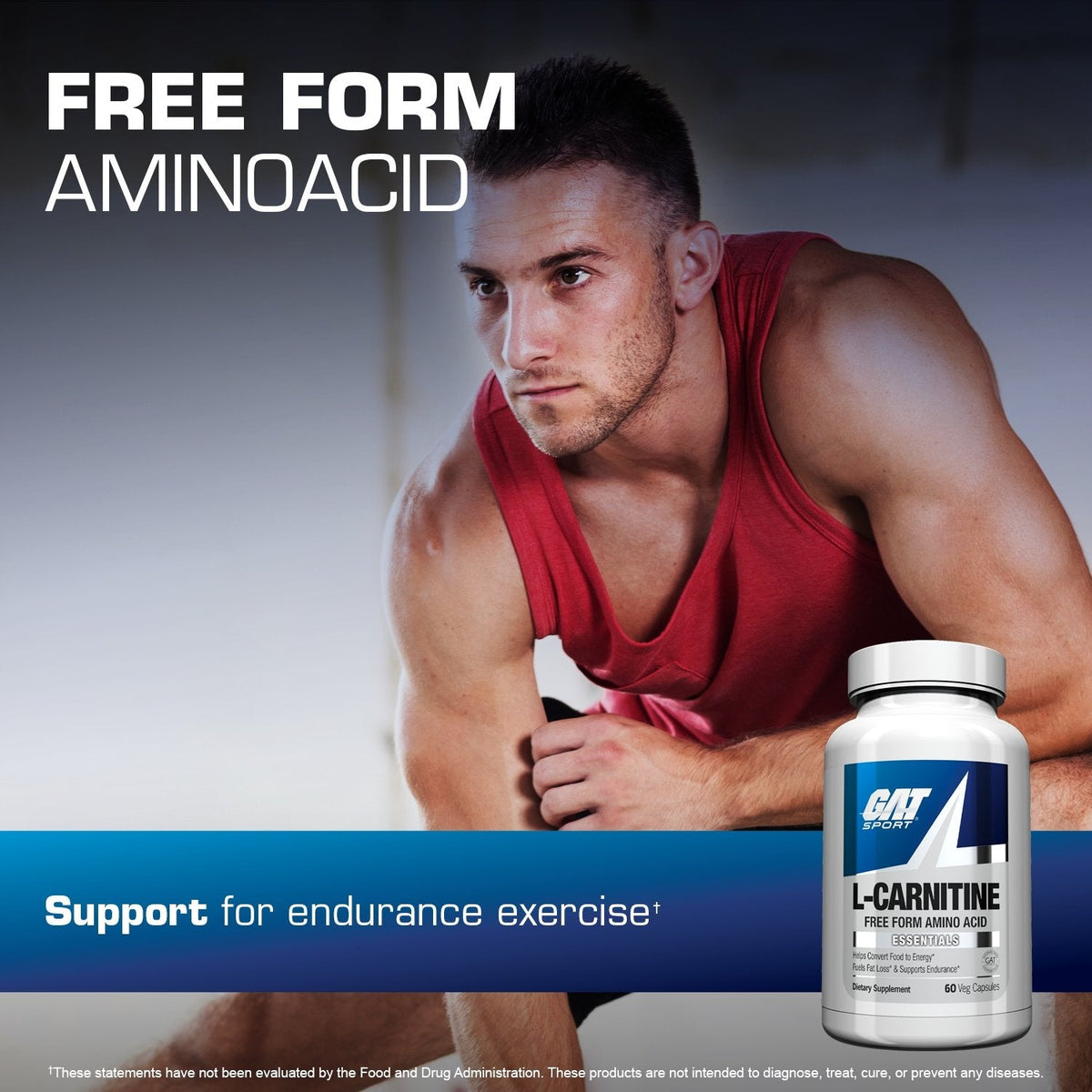 GAT Sport L-Carnitine free form amino acid