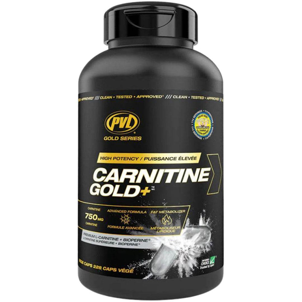 PVL Gold Series Carnitine Gold 228 Capsules - NZ Muscle