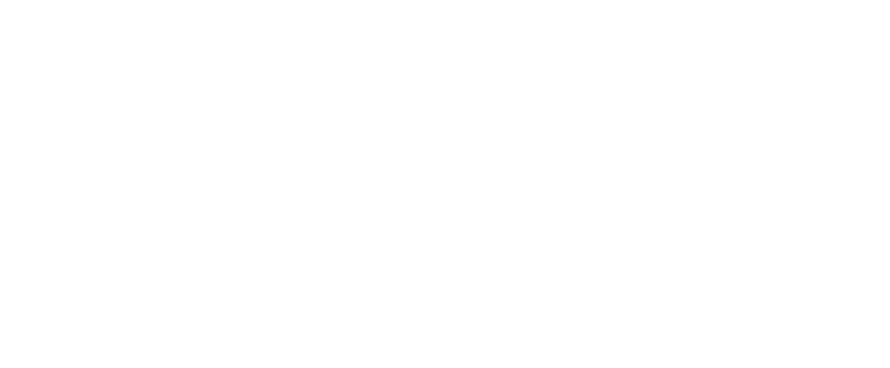 Rebel sport