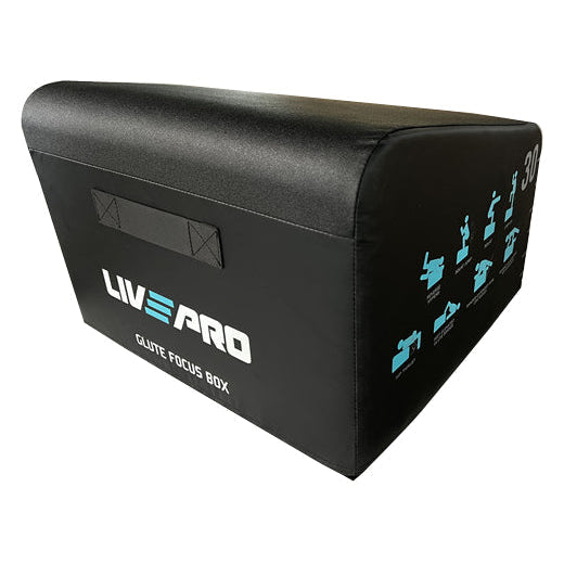 LivePro Angled Plyometric Box